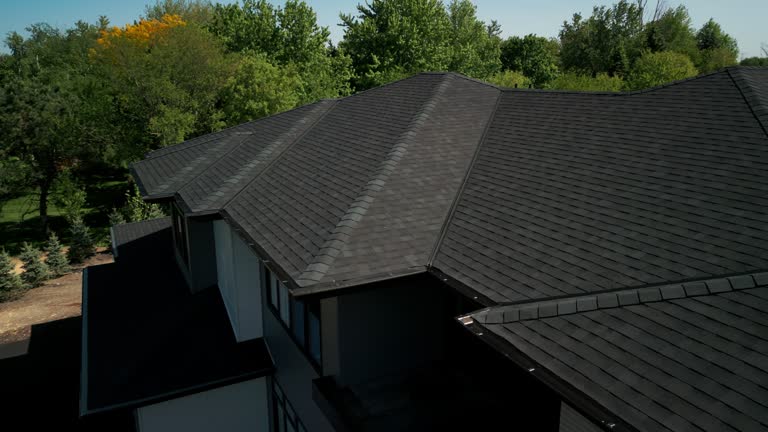 Trusted Timber Pines, FL Roofing Services Experts